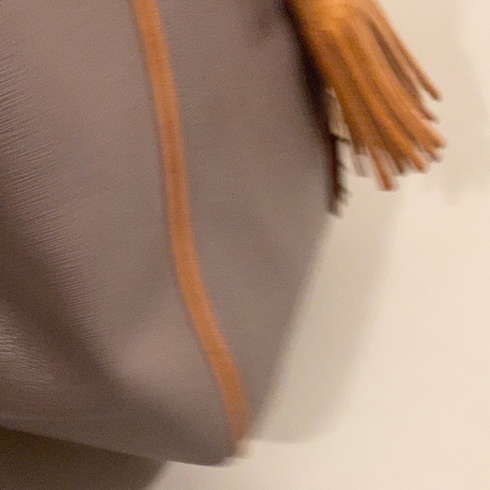 Dooney and Bourke gray & tan leather double strap zipper tassel shoulder bag - Picture 9 of 16